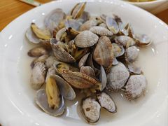 -小叶大馅饺子城