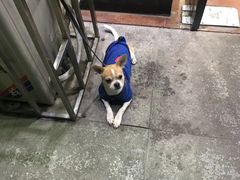 -熊记火盆景鱼火锅(永庆路店)