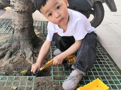 -枫香湖儿童公园