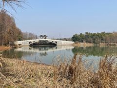 -东湖落雁景区