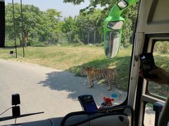 -西安秦岭野生动物园