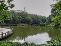 -榴花公园