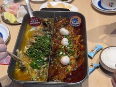 -鱼酷活鱼烤鱼(沈阳大悦城店)