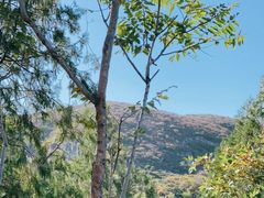 -周口店北京人遗址公园