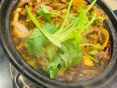 鸡鸡蛙蛙中煲-川香煲(茅台路店)