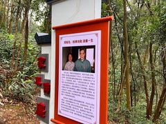 -黄埔油麻山森林公园