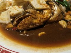 -旺顺阁·北京菜(北辰上品+)