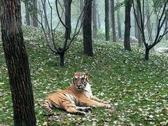 -北京野生动物园