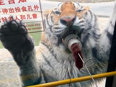 -栾川竹海野生动物园