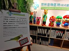 -雨林宠物医院·异宠专科(浦东分院)