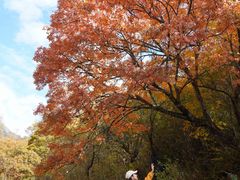 -叠溪松坪沟景区