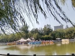 -莲湖公园
