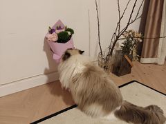 -花草间花行(法华镇路店)