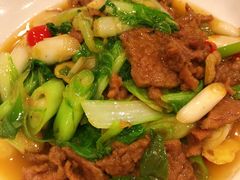 -曾牛肉