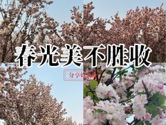 -天津万象城