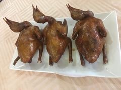 -五谷芳乳鸽王（大梅沙总店C区）(网红打卡店)