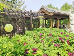 -三里河公园