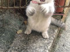 -老屋咖啡