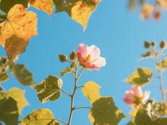 -西安市长乐公园