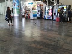 -谢列梅捷沃国际机场