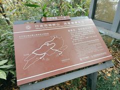 -九曜山