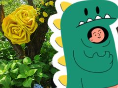 -名花谷生态庄园