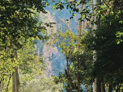 -火炉山森林公园