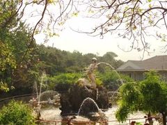 -燕塞湖鸟语林景区