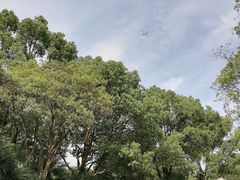 -嘉北郊野公园