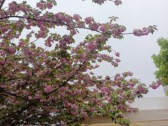 -万达广场(松江店)