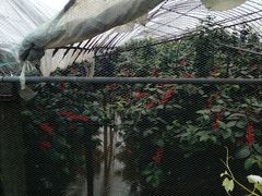 -弄堂里· 江南名肴(西湖龙井路店)
