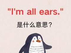 -新航道雅思托福·留学·考研培训(人民广场校区)