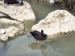 -海合安武汉极地海洋公园