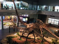 -自贡恐龙博物馆