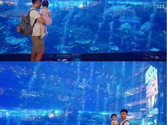 -成都浩海立方海洋公园