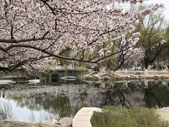 -满都海公园
