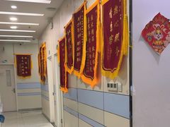 -中农国际动物医院24小时·猫科·骨科·急重症中心