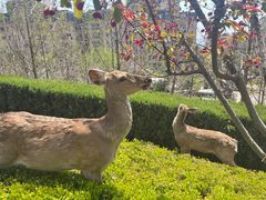 -大堂吧·下午茶·特调鸡尾酒(大连一方城堡豪华精选酒店)