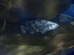 -蓬莱欧乐堡海洋极地世界
