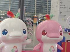 -广州白云国际机场-T2航站楼