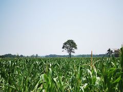 -汉长安城未央宫国家考古遗址公园