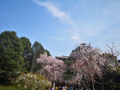 -西安青龙寺遗址景区