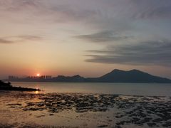 -广东惠东海龟国家级自然保护区