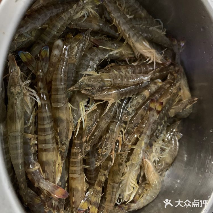 清蒸斑节虾（九节虾）