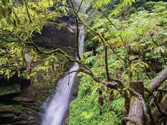 -碧峰峡风景区