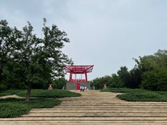 -大望京公园