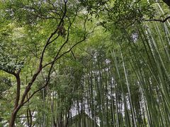 -汇龙潭