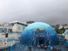 -海合安青岛极地海洋公园