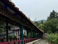 -高尔山公园
