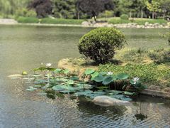 -木塔寺遗址生态公园